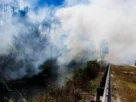 El fuego crecía al oeste de Miami, cerca del Refugio Nacional de la Pantera de Florida en los Everglades.