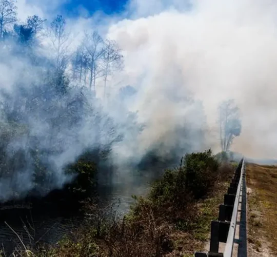 El fuego crecía al oeste de Miami, cerca del Refugio Nacional de la Pantera de Florida en los Everglades.