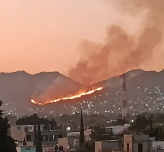 Incendio se controló al 100 por ciento y no hubo lesionados