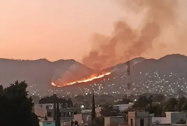 Incendio se controló al 100 por ciento y no hubo lesionados