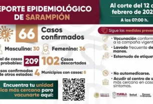 casos activos de sarampion en puebla