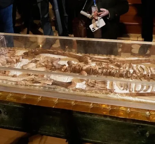 El osario con los restos de San Francisco de Asís será expuesto con motivo del 800 aniversario de su muerte