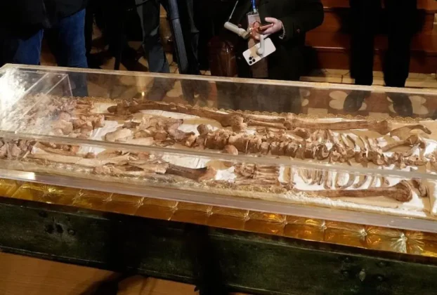 El osario con los restos de San Francisco de Asís será expuesto con motivo del 800 aniversario de su muerte