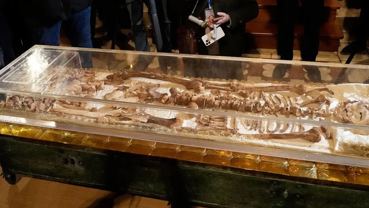 El osario con los restos de San Francisco de Asís será expuesto con motivo del 800 aniversario de su muerte