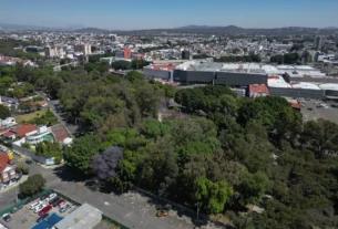 foto del parque juarez