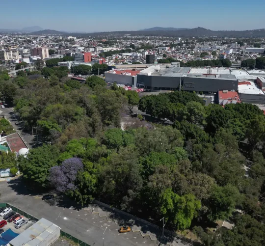 foto del parque juarez