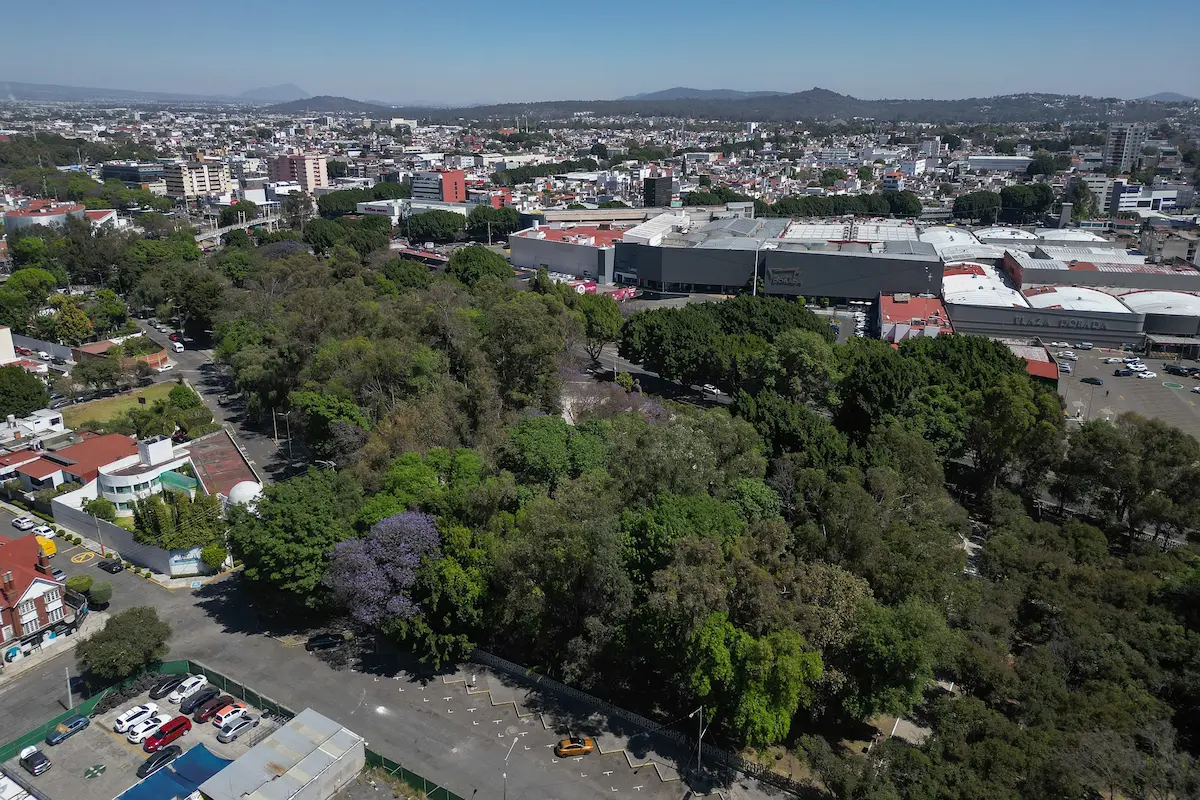 foto del parque juarez