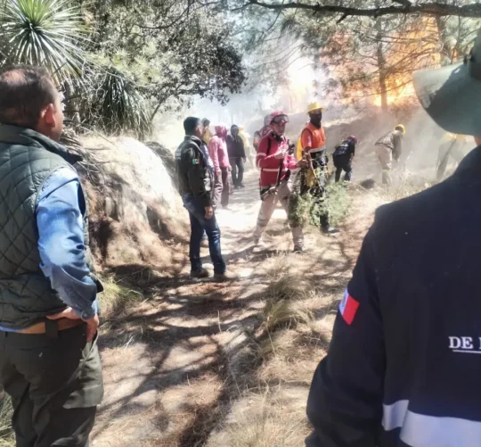 proteccion civil en oriental