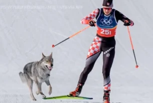 De nombre “Nazgul”, el perro pertenecía a una exesquiadora local