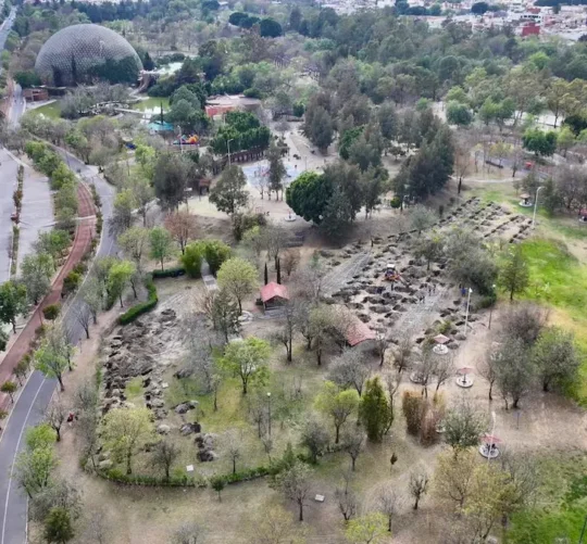reforestacion en el cis puebla