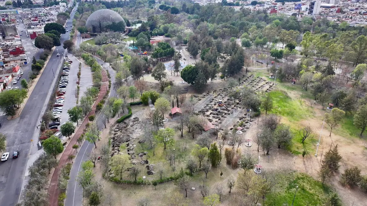 reforestacion en el cis puebla