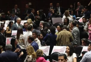 Por vez primera desde la llegada de la alianza Morena-PT-PVEM a la Presidencia de la República, los aliados del partido guinda rechazaron una propuesta de enmienda constitucional