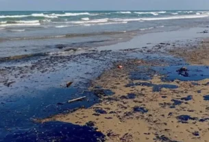 La presidenta Claudia Sheinbaum instruyó apoyos para 25 mil pescadores.