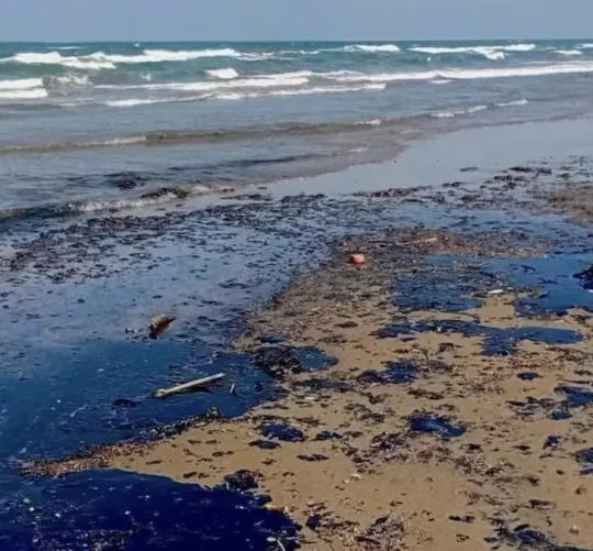 La presidenta Claudia Sheinbaum instruyó apoyos para 25 mil pescadores.