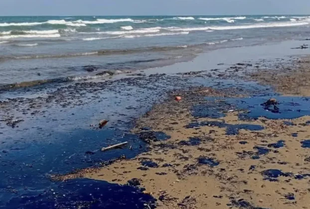 La presidenta Claudia Sheinbaum instruyó apoyos para 25 mil pescadores.