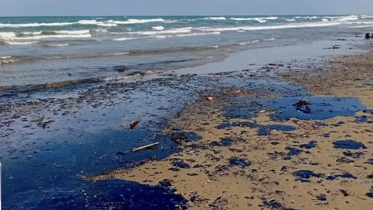 La presidenta Claudia Sheinbaum instruyó apoyos para 25 mil pescadores.