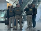 Agentes del Servicio de Inmigración y Control de Aduanas (ICE en inglés) fueron desplegados en los aeropuertos John F. Kennedy (JFK) y Newark, en Nueva York