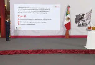 La primera propuesta fue desechada en el pleno de la Cámara de Diputados al no alcanzar los votos necesarios