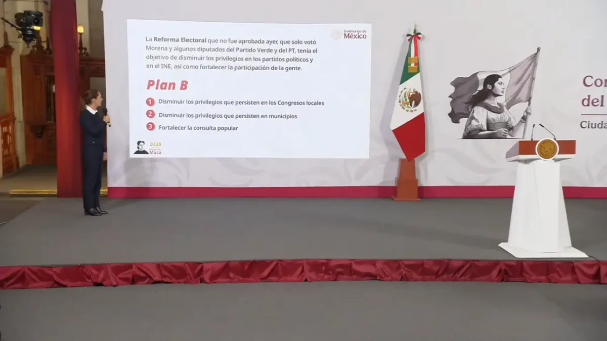 La primera propuesta fue desechada en el pleno de la Cámara de Diputados al no alcanzar los votos necesarios