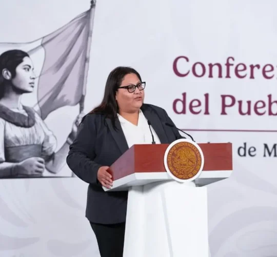 La secretaria de las Mujeres, Citlalli Hernández, presentó el acuerdo durante la conferencia presidencial.