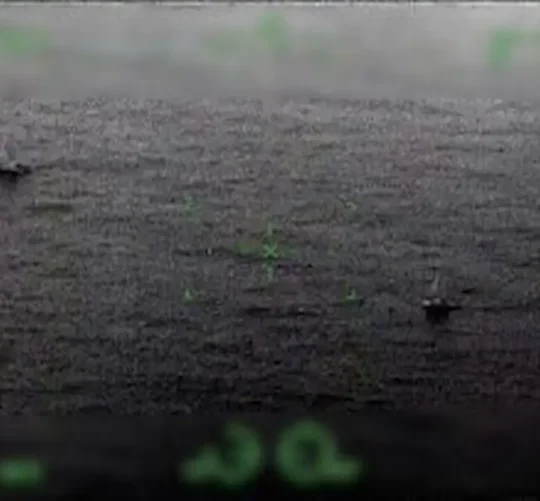 La Marina había desplegado un operativo para dar con el paradero de estos barcos