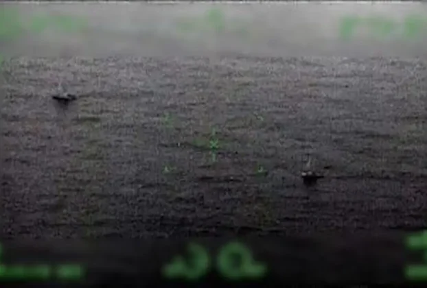 La Marina había desplegado un operativo para dar con el paradero de estos barcos