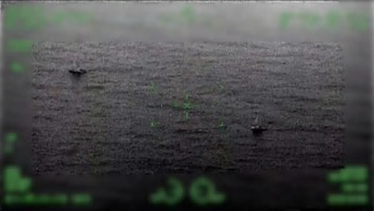 La Marina había desplegado un operativo para dar con el paradero de estos barcos