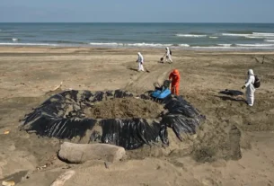 Ninguna autoridad ha informado sobre la causa de la fuga de petróleo