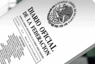 A partir de la entrada en vigor del decreto, todas las jubilaciones o pensiones que no estén excluidas, y que se hayan otorgado con anterioridad, deberán ajustarse al límite establecido, incluyendo las que se encuentren vigentes.