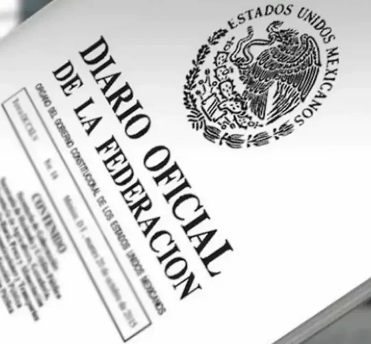 A partir de la entrada en vigor del decreto, todas las jubilaciones o pensiones que no estén excluidas, y que se hayan otorgado con anterioridad, deberán ajustarse al límite establecido, incluyendo las que se encuentren vigentes.