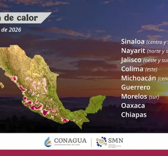 Esta situación favorecerá “drásticamente” el riesgo de incendios forestales alertó la Comisión Nacional Forestal (Conafor).