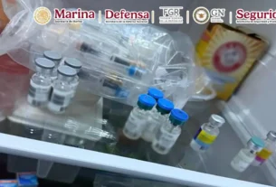 Tras obtener y cumplimentar la orden de cateo pertinente se hallaron: 110 dosis de vacunas falsas para el VPH, 22 vacunas para neumococo, 9 vacunas para sarampión, etiquetas para cajas de vacunas, 15 mil dosis de clonazepam, cocaína, 20 cartuchos útiles y dispositivos electrónicos.
