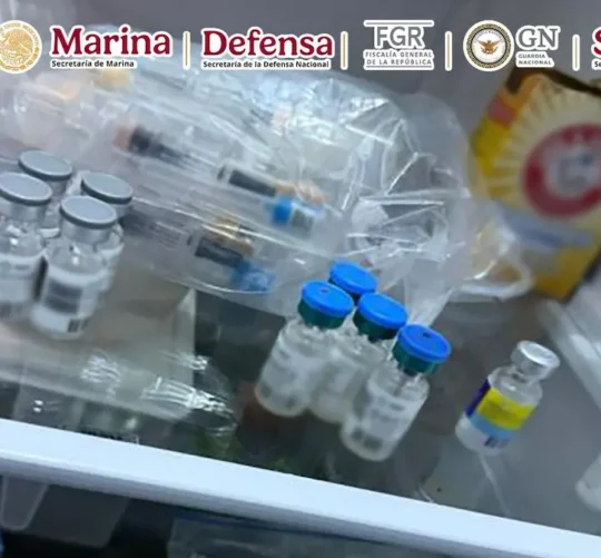 Tras obtener y cumplimentar la orden de cateo pertinente se hallaron: 110 dosis de vacunas falsas para el VPH, 22 vacunas para neumococo, 9 vacunas para sarampión, etiquetas para cajas de vacunas, 15 mil dosis de clonazepam, cocaína, 20 cartuchos útiles y dispositivos electrónicos.