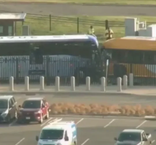 10 son empleados del Departamento de Guerra