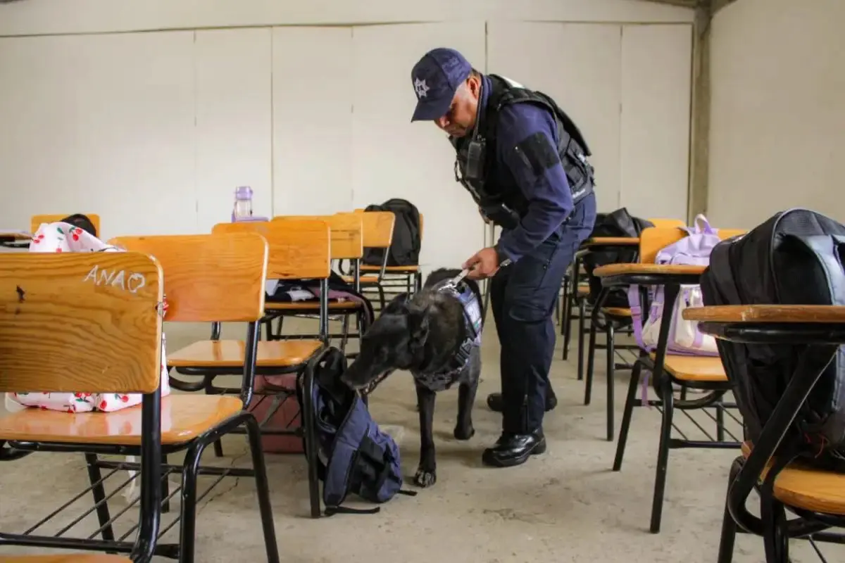 operativo mochila puebla