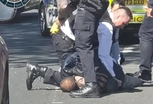 Las dos víctimas, de 34 y 76 años, "fueron trasladados a un hospital. Su estado es estable", indicó la policía en un comunicado. El sospechoso también intentó apuñalar a agentes de policía, que no resultaron heridos.