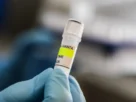El hantavirus “no se propaga de la misma manera que los coronavirus”, sino que necesita un “contacto cercano e íntimo”