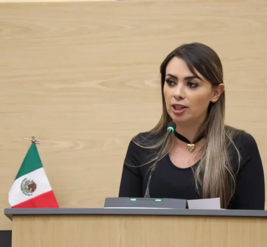 DIputada María de la Barreda