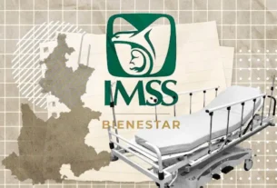 simbolo imss bienestar puebla
