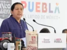 La funcionaria reveló que hasta la semana pasada había en el estado 200 casos vigentes de esta plaga, provocada por la mosca 'Cochliomyia hominivorax', pero en el arranque de junio ascendieron a por lo menos 500.