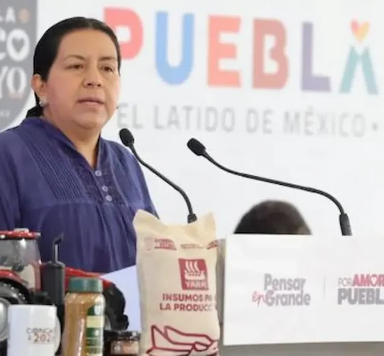 La funcionaria reveló que hasta la semana pasada había en el estado 200 casos vigentes de esta plaga, provocada por la mosca 'Cochliomyia hominivorax', pero en el arranque de junio ascendieron a por lo menos 500.