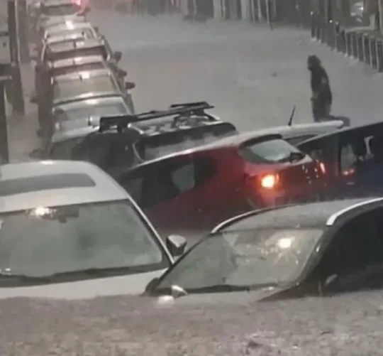Las fuertes lluvias provocaron la caída de un árbol sobre un auto que circulaba en la recta a Cholula y uno de sus ocupantes, falleció