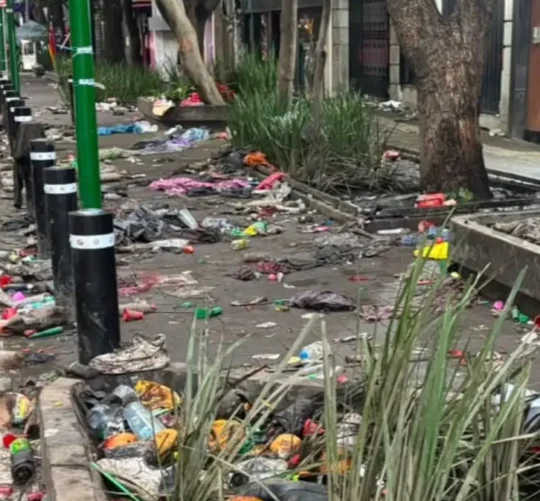 En redes sociales circulan videos que evidencian a aficionados que incluso orinaban en las áreas verdes.