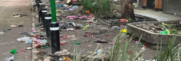 En redes sociales circulan videos que evidencian a aficionados que incluso orinaban en las áreas verdes.