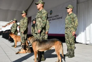 Los ejemplares pasan a situación de retiro para comenzar una nueva etapa de vida adoptados por familias del personal naval.