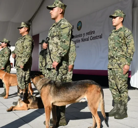 Los ejemplares pasan a situación de retiro para comenzar una nueva etapa de vida adoptados por familias del personal naval.