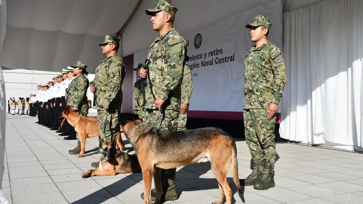 Los ejemplares pasan a situación de retiro para comenzar una nueva etapa de vida adoptados por familias del personal naval.