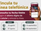 Vencida la nueva fecha límite, las compañías telefónicas suspenderán el servicio de las líneas celulares no vinculadas