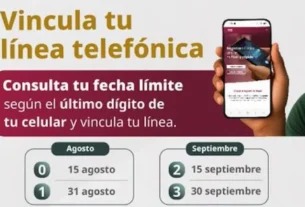 Vencida la nueva fecha límite, las compañías telefónicas suspenderán el servicio de las líneas celulares no vinculadas