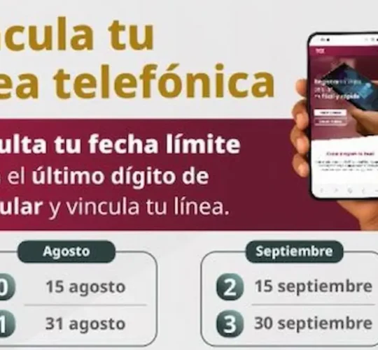 Vencida la nueva fecha límite, las compañías telefónicas suspenderán el servicio de las líneas celulares no vinculadas